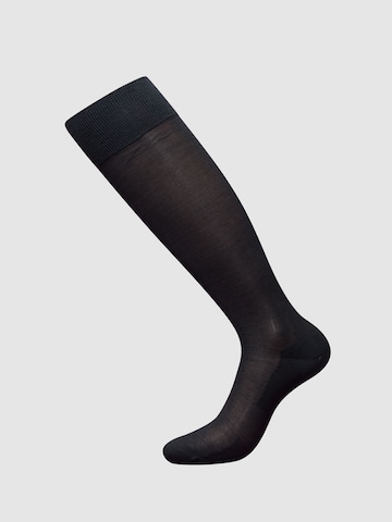 zd ZERO DEFECTS Kniestrümpfe 'Mercerized cotton knee socks' in Grau: Vorderseite
