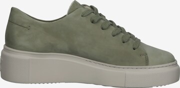 Sneaker bassa di Paul Green in verde