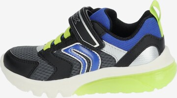 GEOX Sneaker in Mischfarben