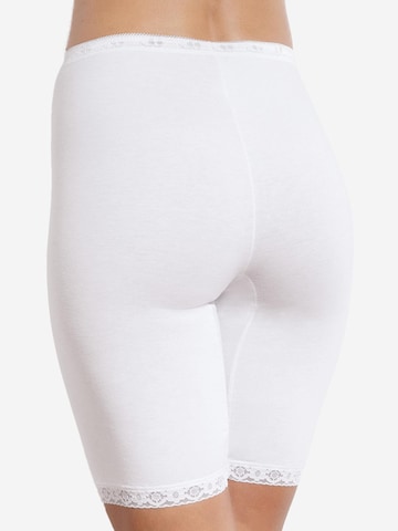 SLOGGI Panty 'SLOGGI Long Slip 3er Pack Basic+' in Weiß