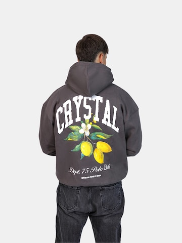 Crystal Paris Sweatshirt 'Polo Club' in Grey: front