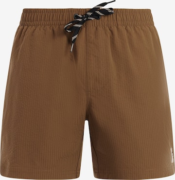 PROTEST Swimming shorts 'PRTAgden' in Brown: front