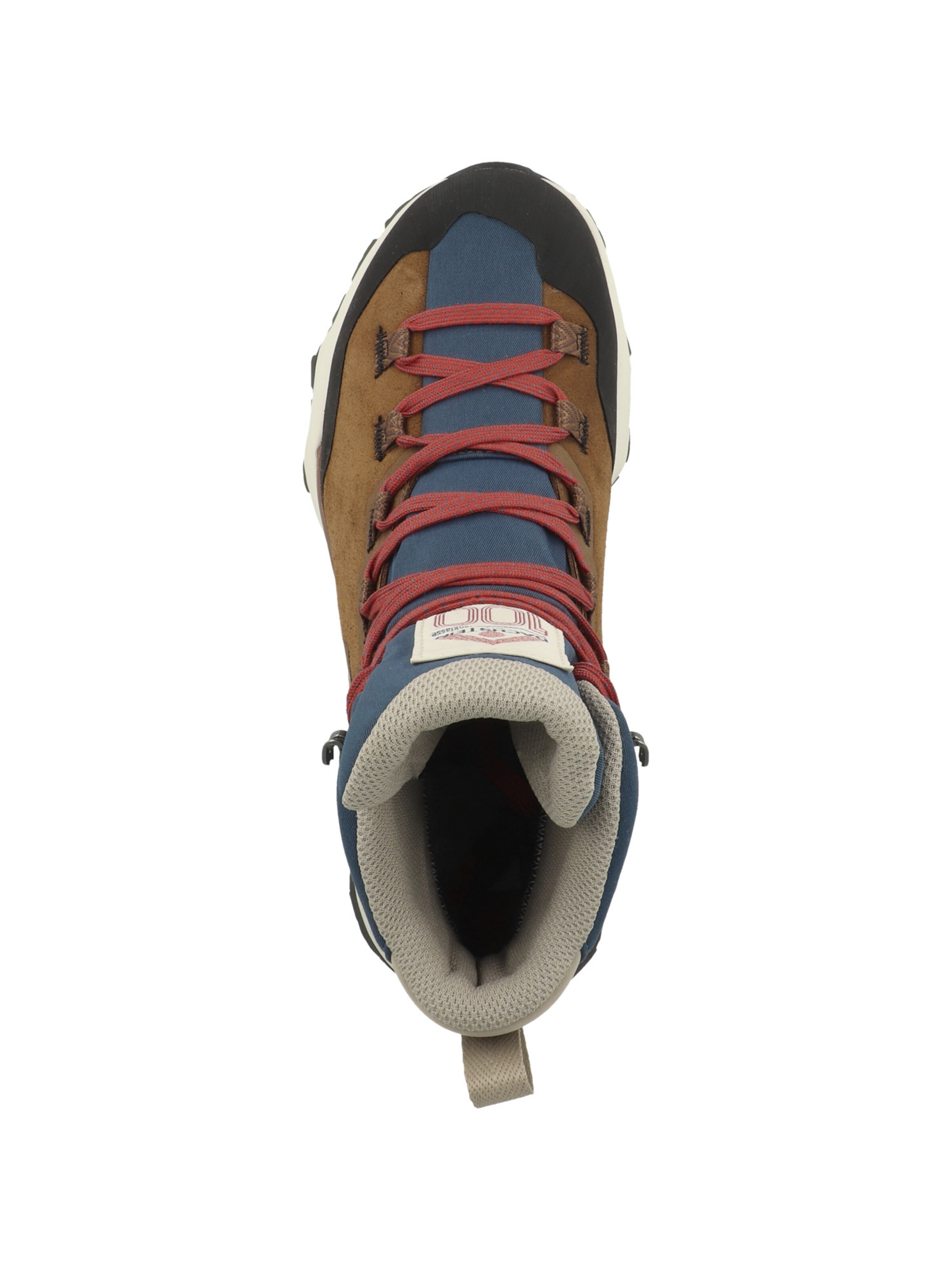 Dachstein Sneaker in Braun