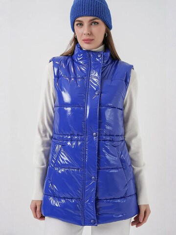 Gilet Bigdart en bleu : devant