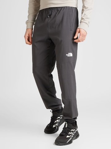 Regular Pantalon de sport THE NORTH FACE en gris : devant