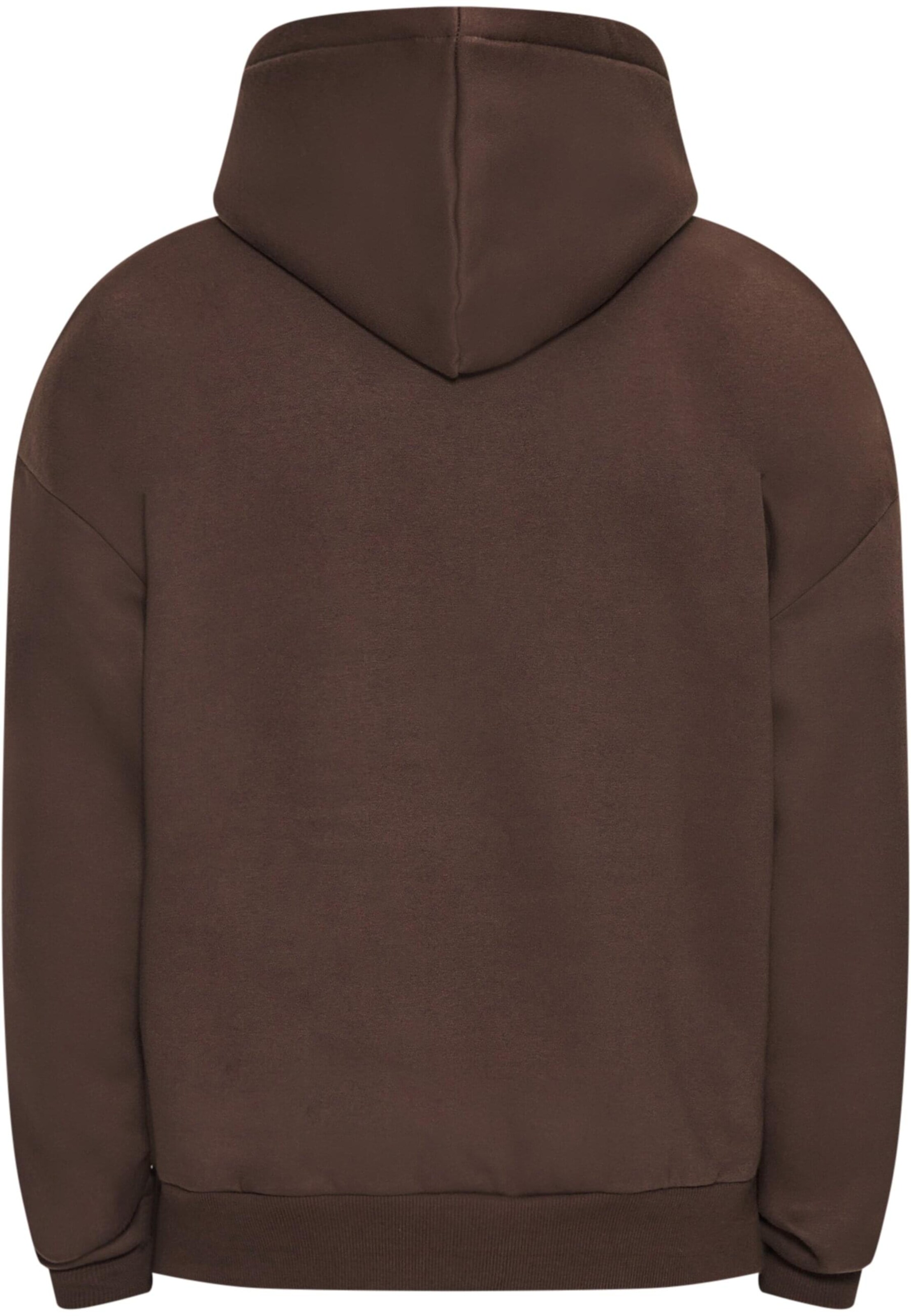 Dropsize Свитшот в Коричневый