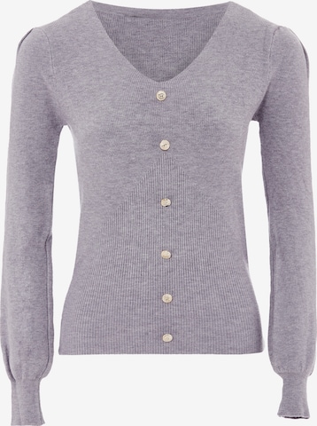 caspio Sweater in Grey: front