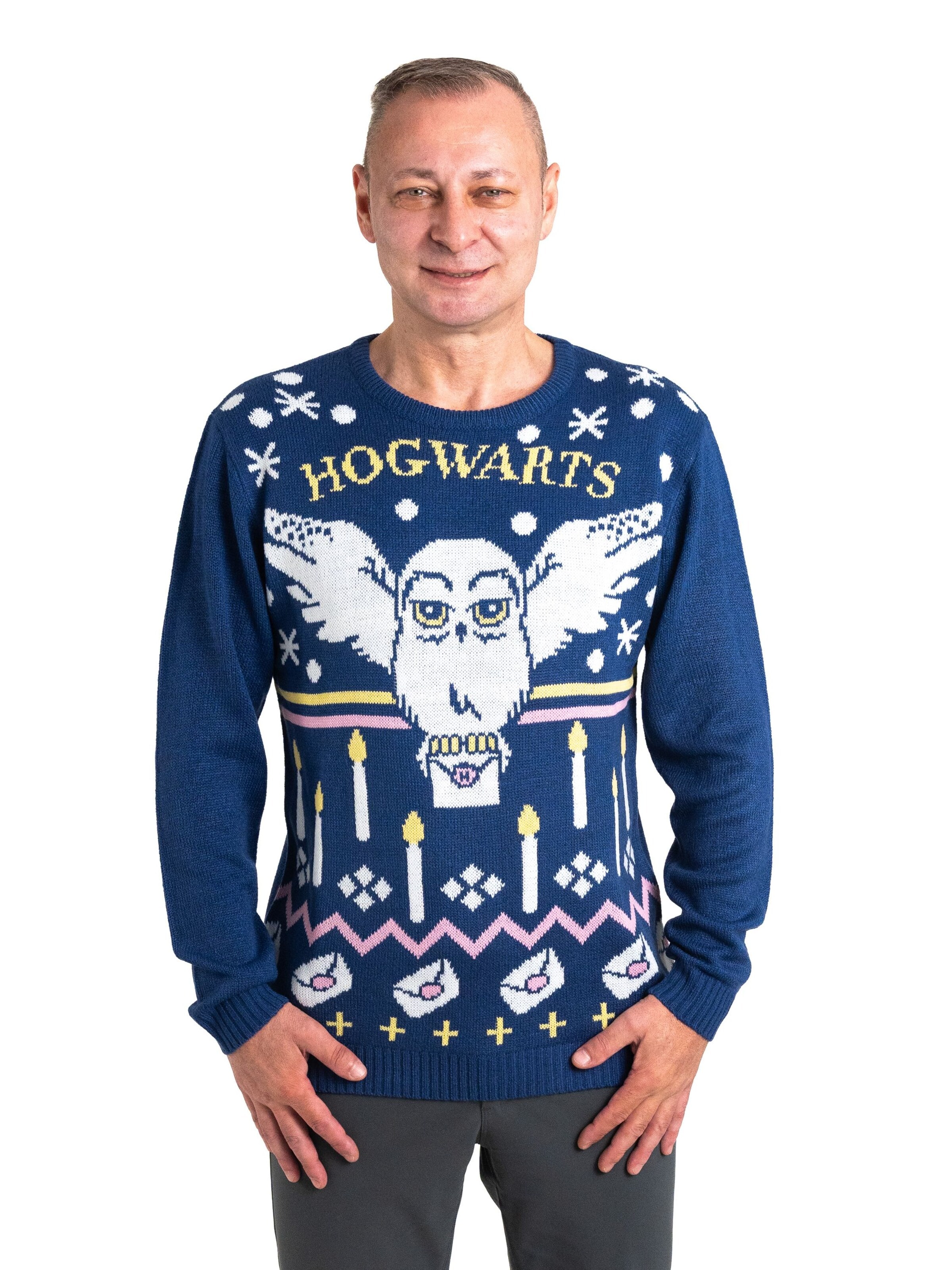 Harry Potter Pullover 'Weihnachtspullover Hedwig Eule'‌‌‌‌‌‌‌‌ in Blau