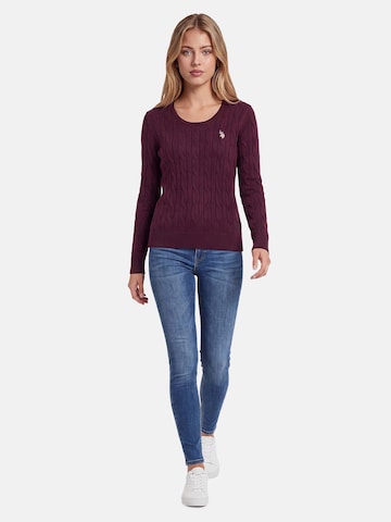 U.S. POLO ASSN. Sweater in Purple