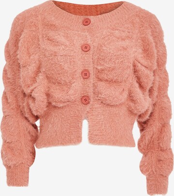 Poomi Knit Cardigan in Orange: front