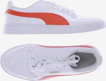 PUMA Sneakers & Trainers in 39 in White: front