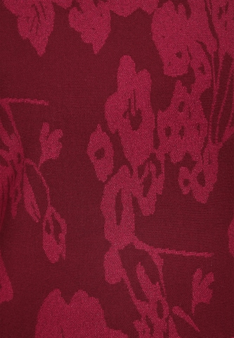 Usha Trui in Gemengde kleuren