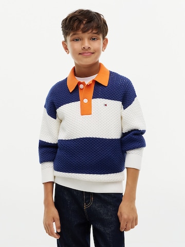 TOMMY HILFIGER Sweater in Blue: front