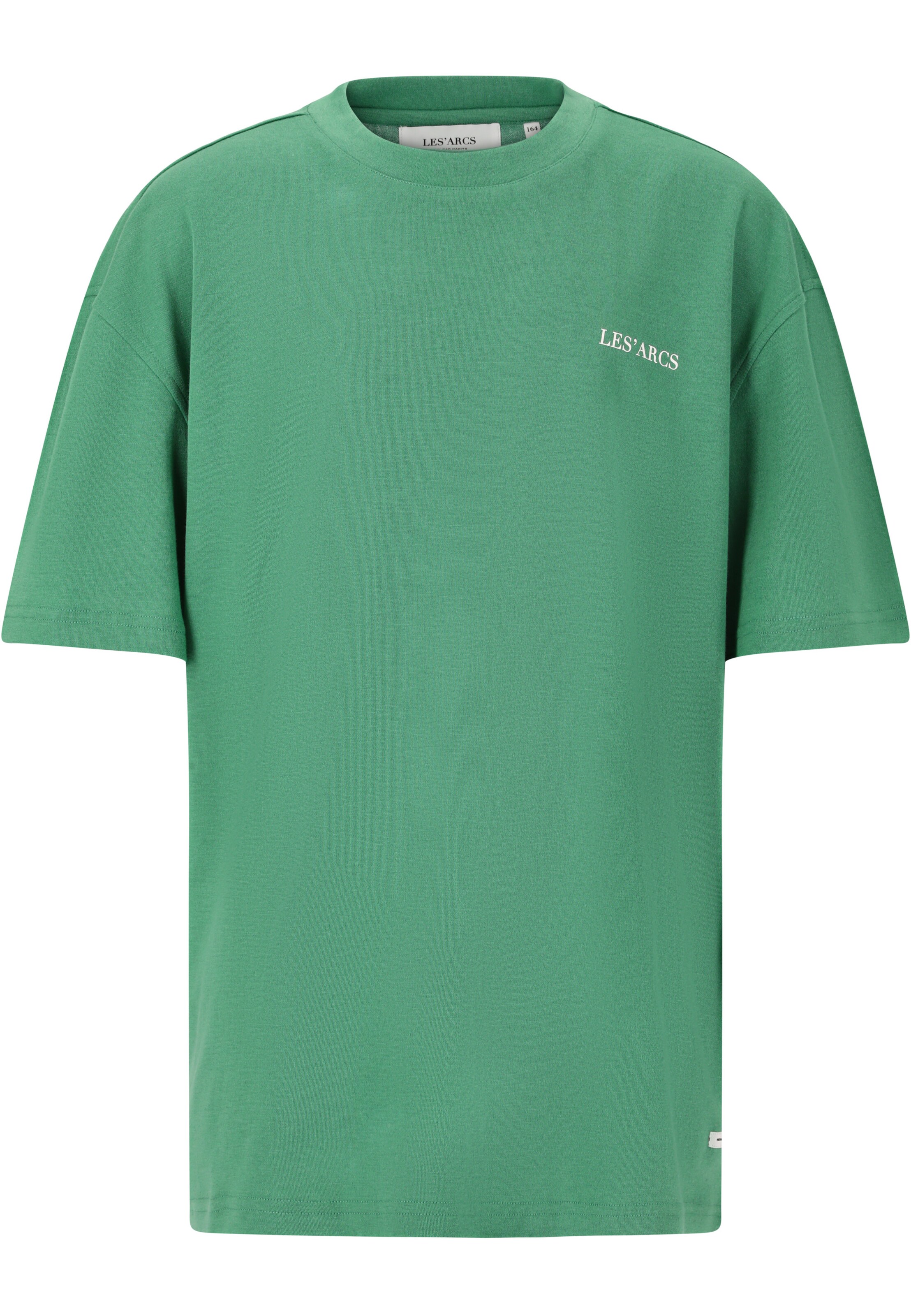 Les'Arcs Performance shirt 'Tynan' in Green: front
