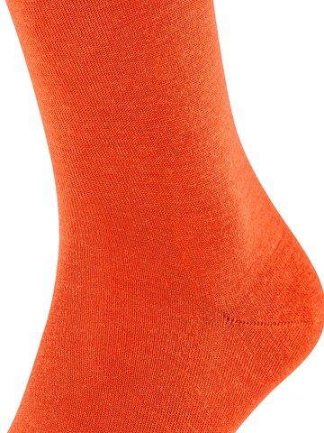 FALKE Knee High Socks in Red