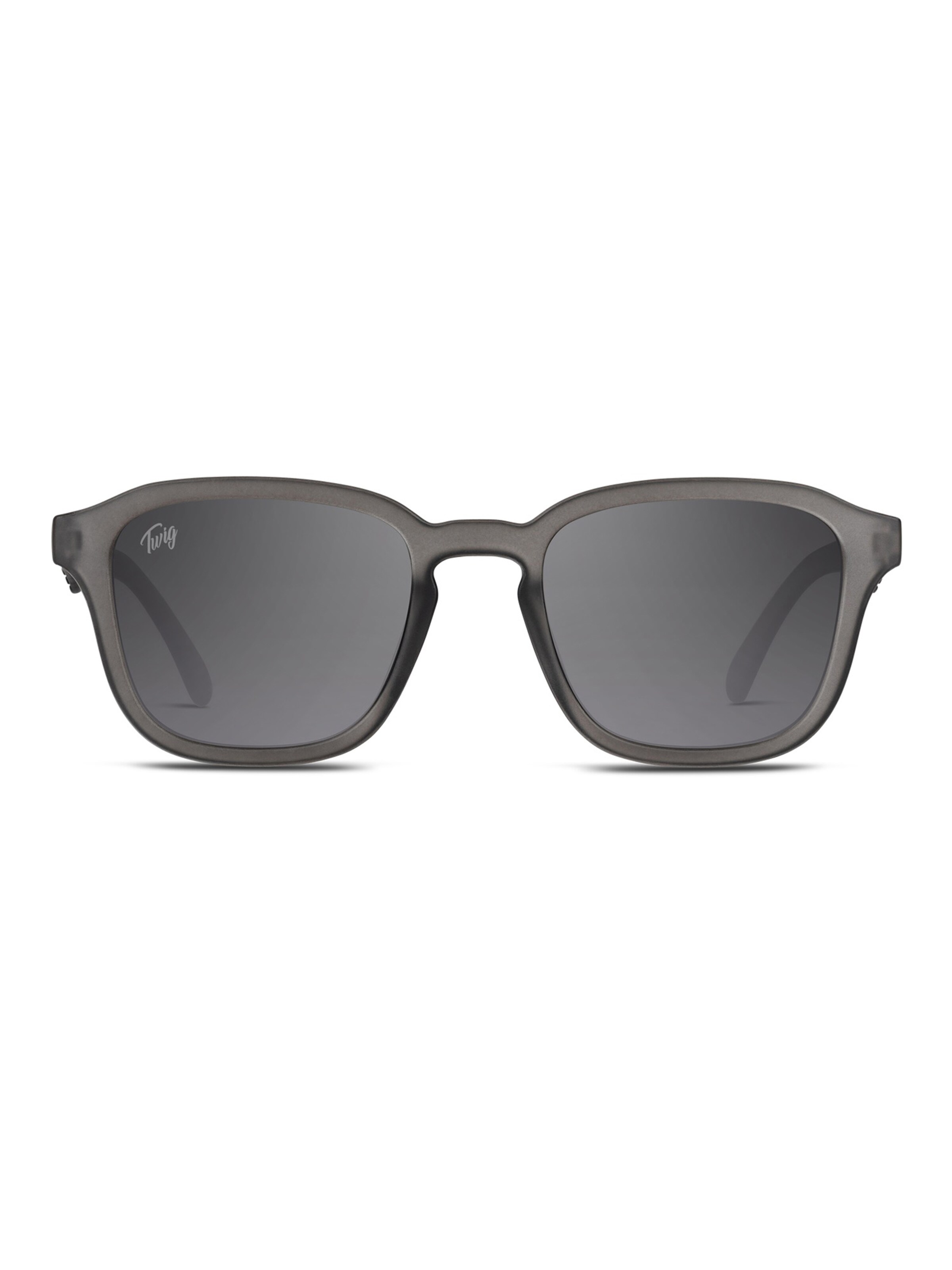 TWIG Concept Milano Sunglasses 'Koons' in Grey