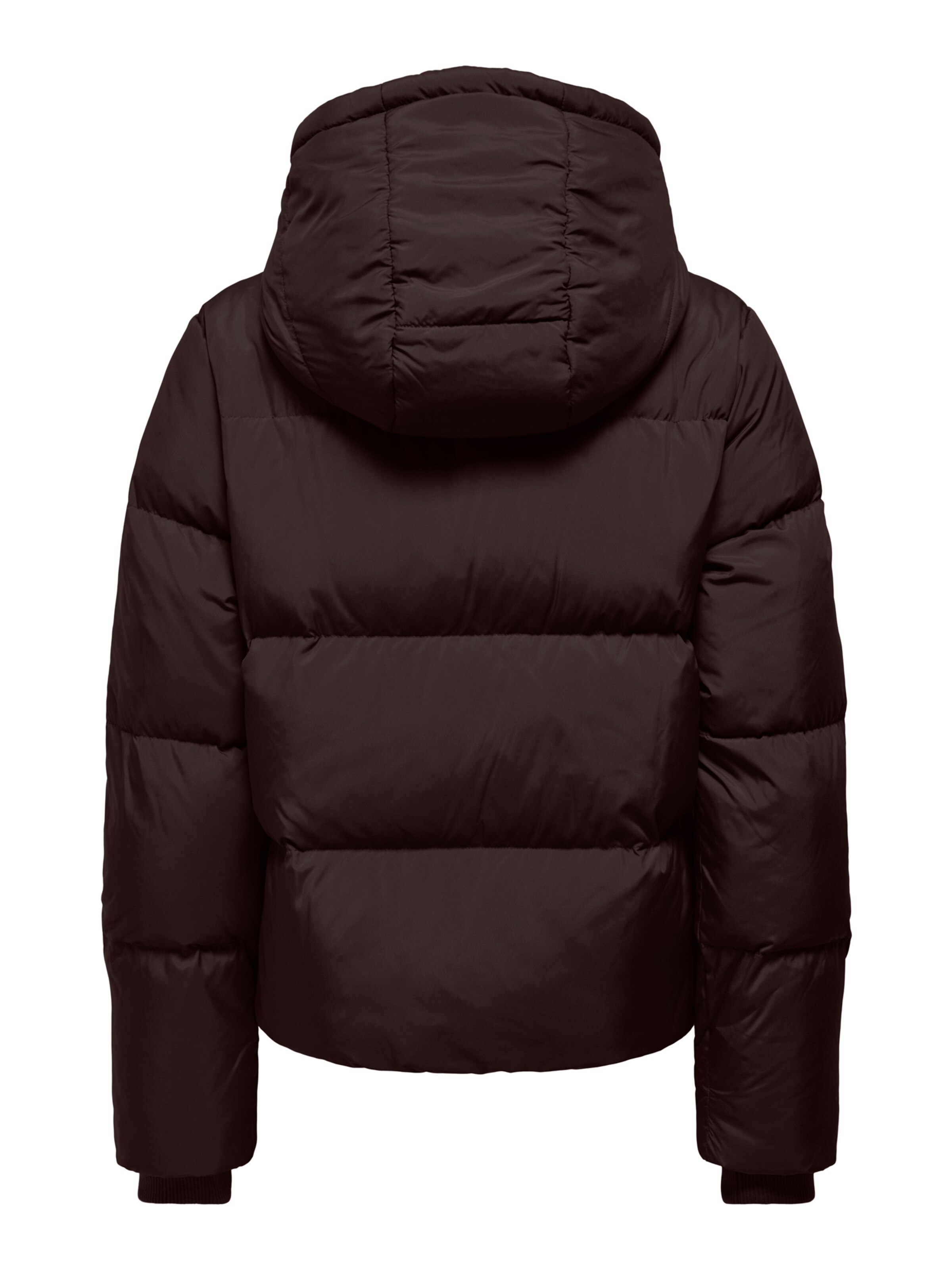 ONLY - Casaco de inverno 'ONLALICE' em castanho