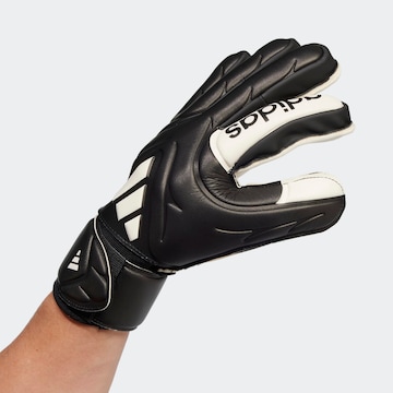 ADIDAS PERFORMANCE Sporthandschuhe in Schwarz