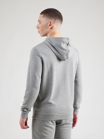 PUMA Спортивный свитшот 'Essentials No. 1' в Серый