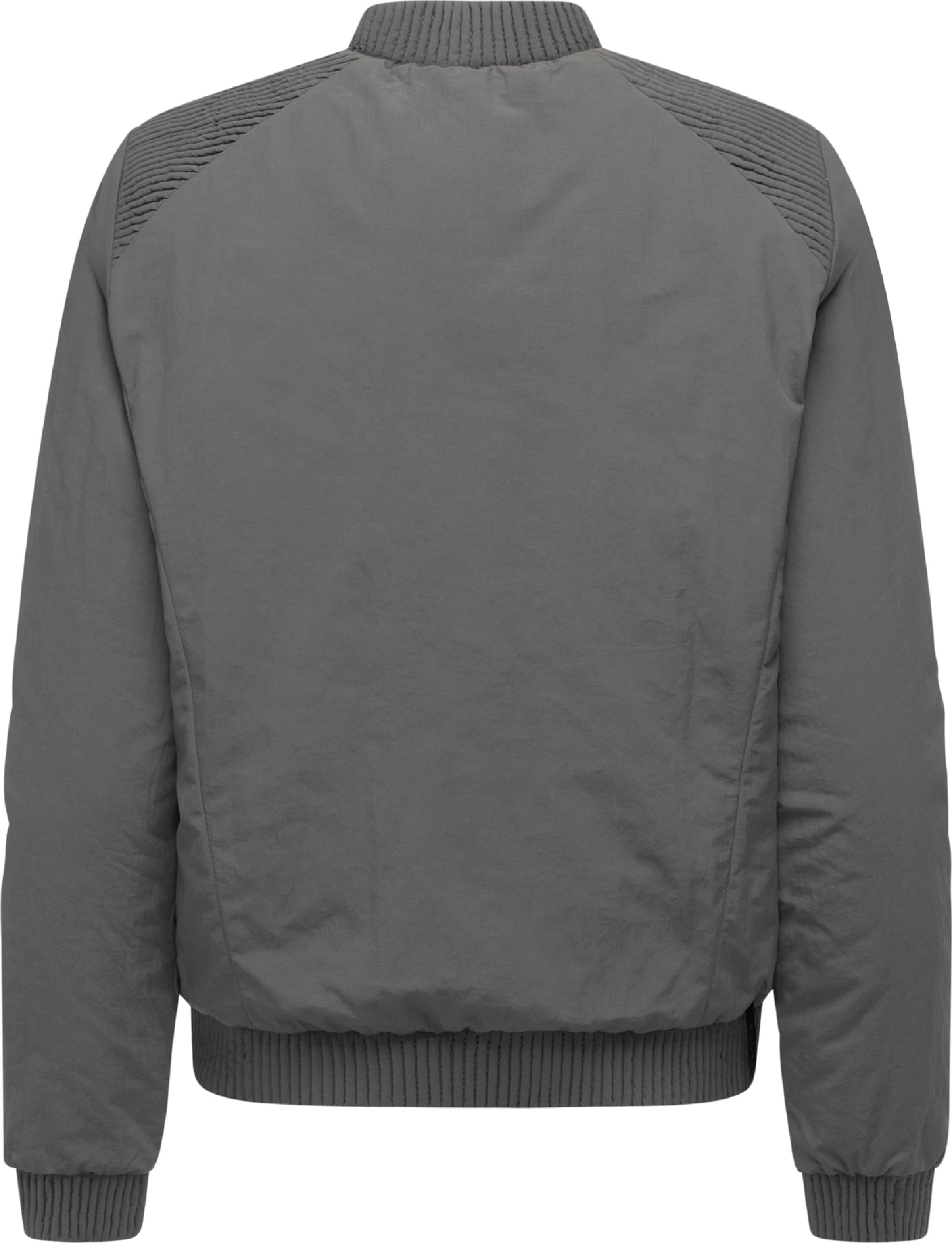 Ragwear Tussenjas in Grijs