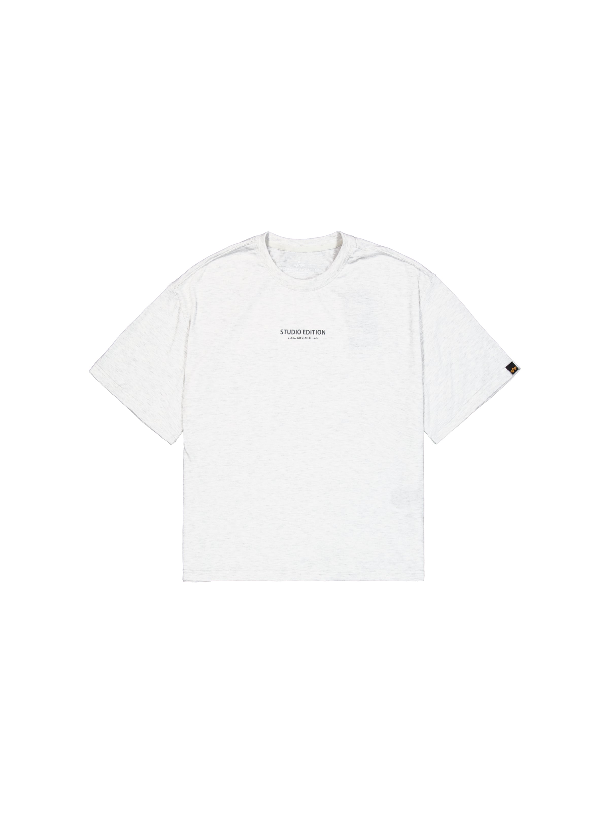 T-Shirt 'Studio Edition' ALPHA INDUSTRIES en gris : devant