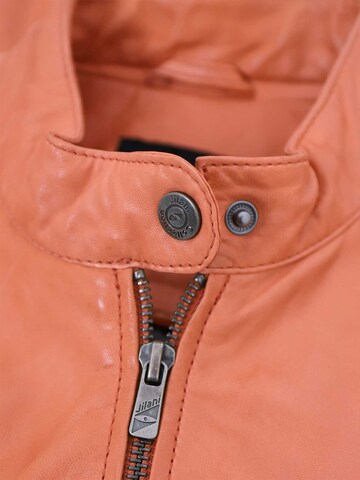 Jilani Tussenjas 'Roony' in Oranje