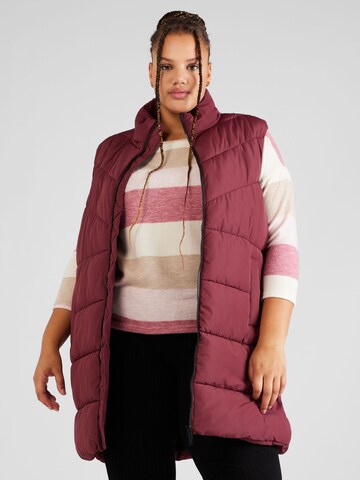 Noisy May Curve Bodywarmer 'NEW DALCON' in Rood: voorkant