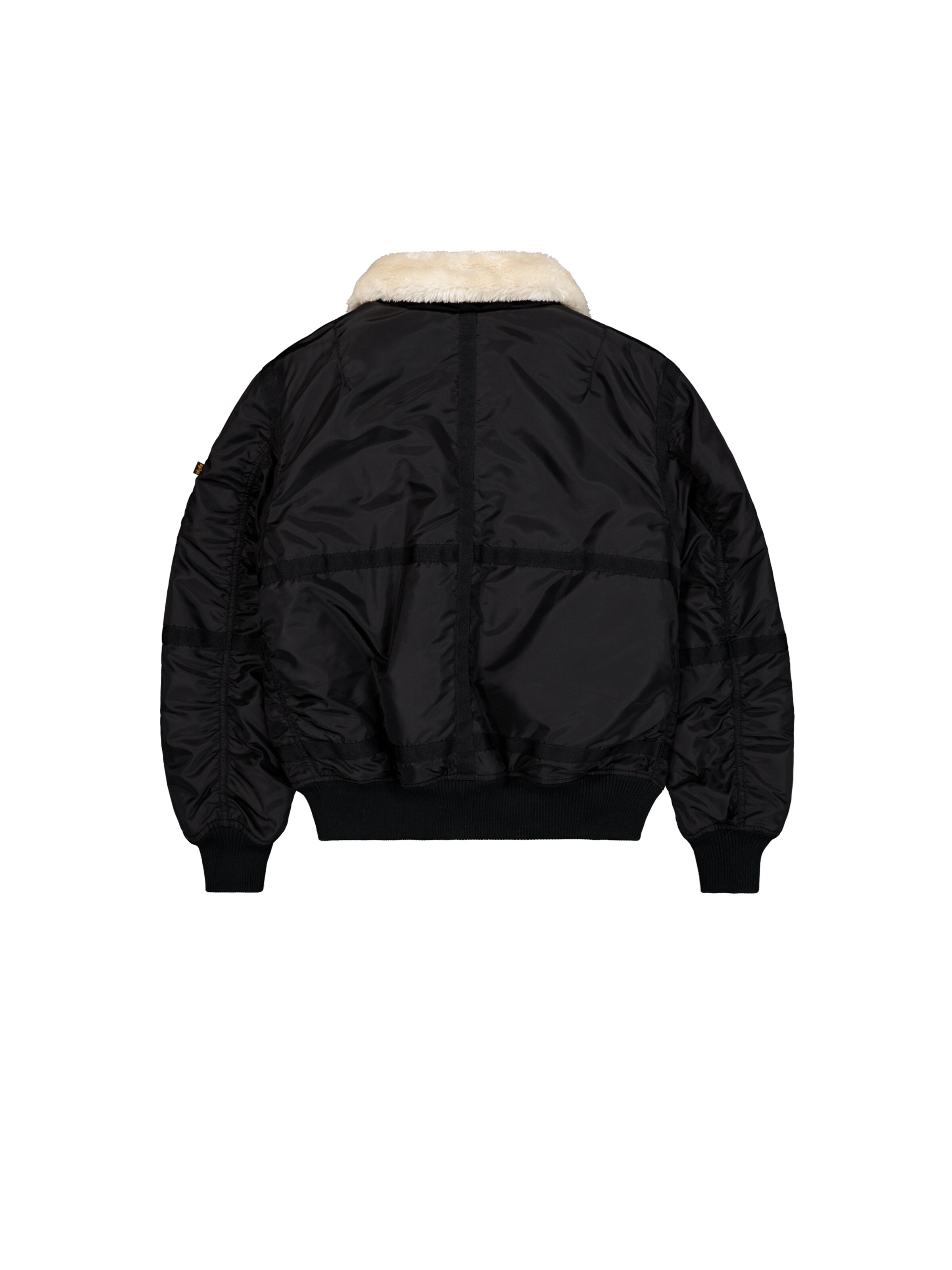 ALPHA INDUSTRIES Regular fit Winter jacket in Black