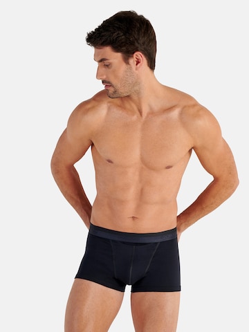 HOM Boxershorts ' Boxer Briefs HO1 ' in Blauw