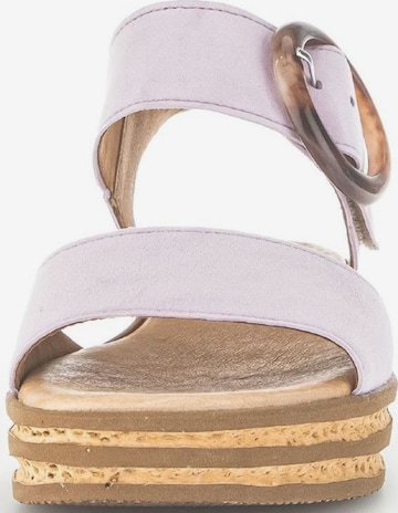 Sandales à lanières GABOR en violet