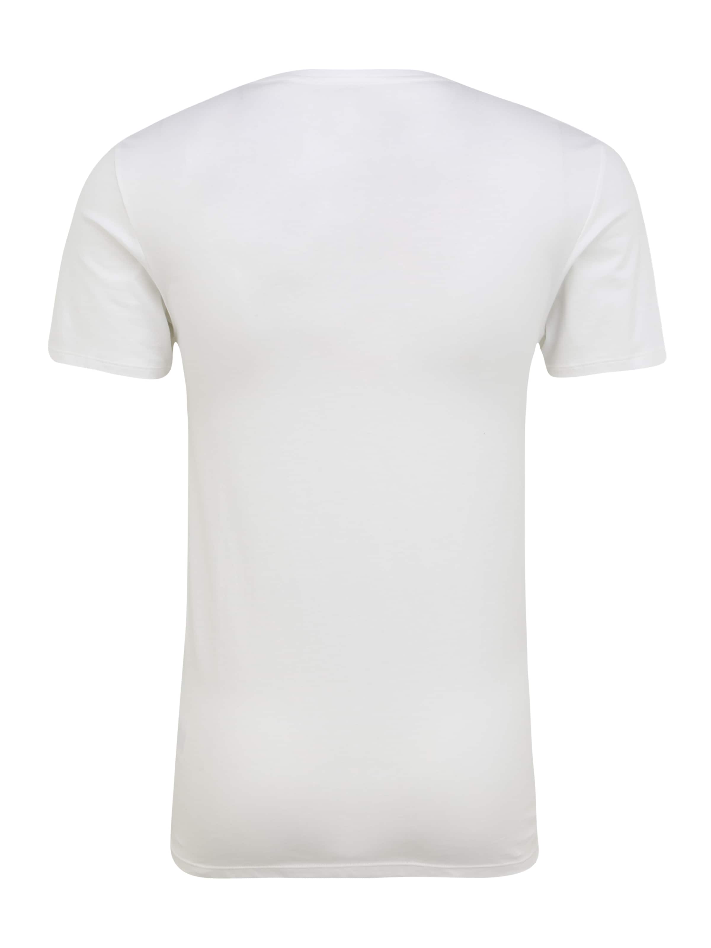 Maglietta di LACOSTE in grigio