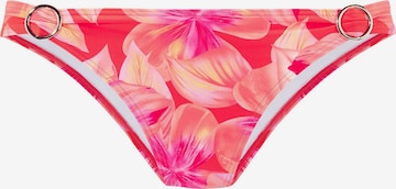 oranžs s.Oliver Bikini apakšdaļa: no priekšpuses