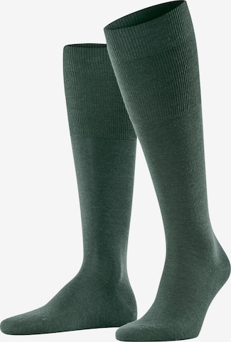 FALKE Knee High Socks 'Airport' in Green: front