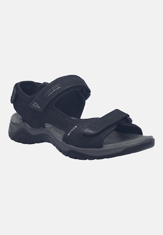 JOSEF SEIBEL Sandale 'Arlo 02 in Schwarz