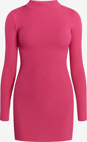 MYMO Knit dress 'Biani' in Pink: front