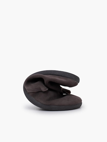 Pisamonas Stiefel‌‌‌‌‌‌ in Grau