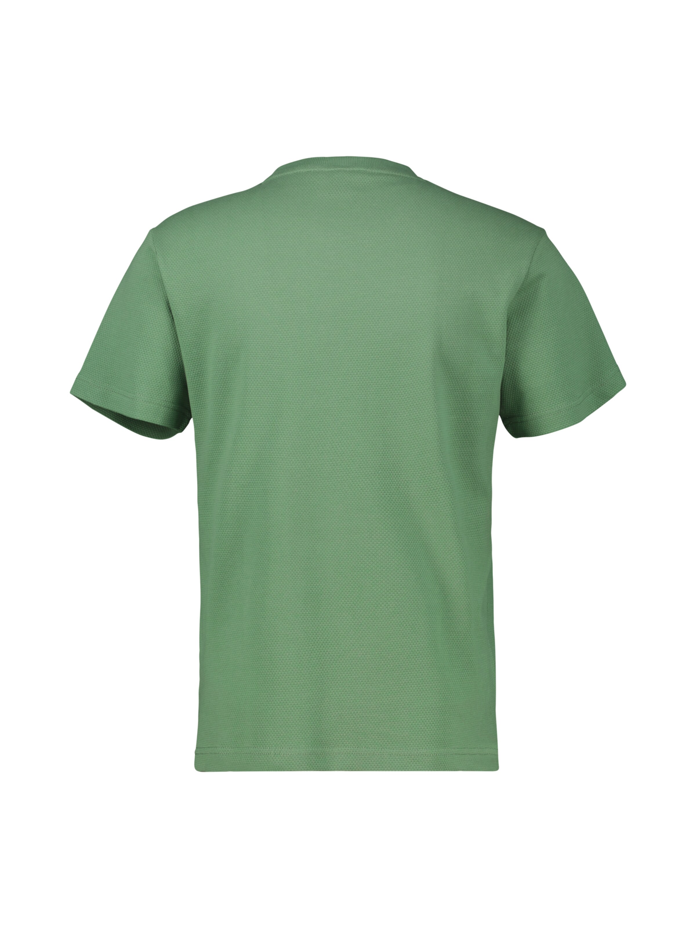 LERROS Shirt ' ' in Green