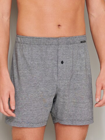 SCHIESSER Boxer shorts ' Multi Shorts ' in Grey: front