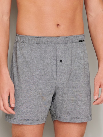 SCHIESSER Boxer ' Multi Shorts ' in Grau: predná strana