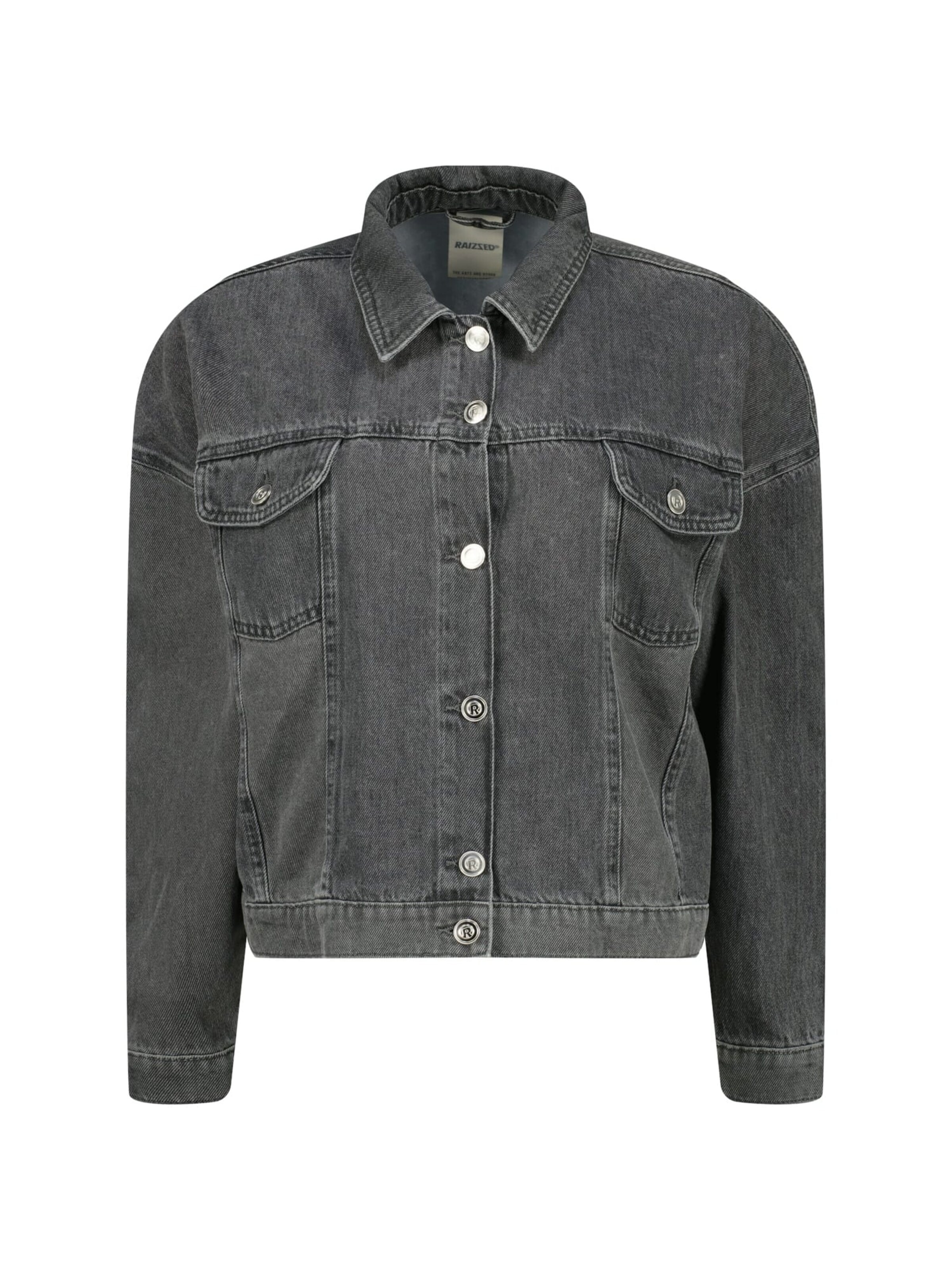 Raizzed Between-season jacket in Grey: front