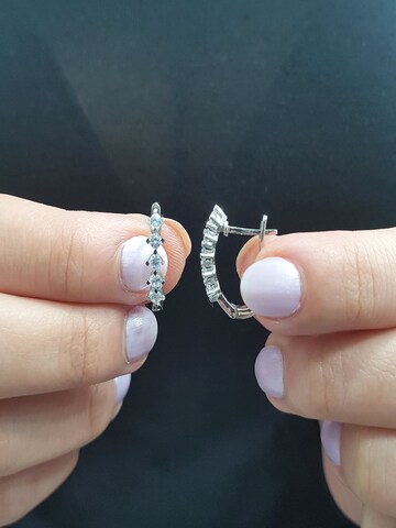 EinStein Diamant Earrings '5-Steine' in Silver