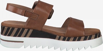 MARCO TOZZI by GUIDO MARIA KRETSCHMER Sandal in Brown