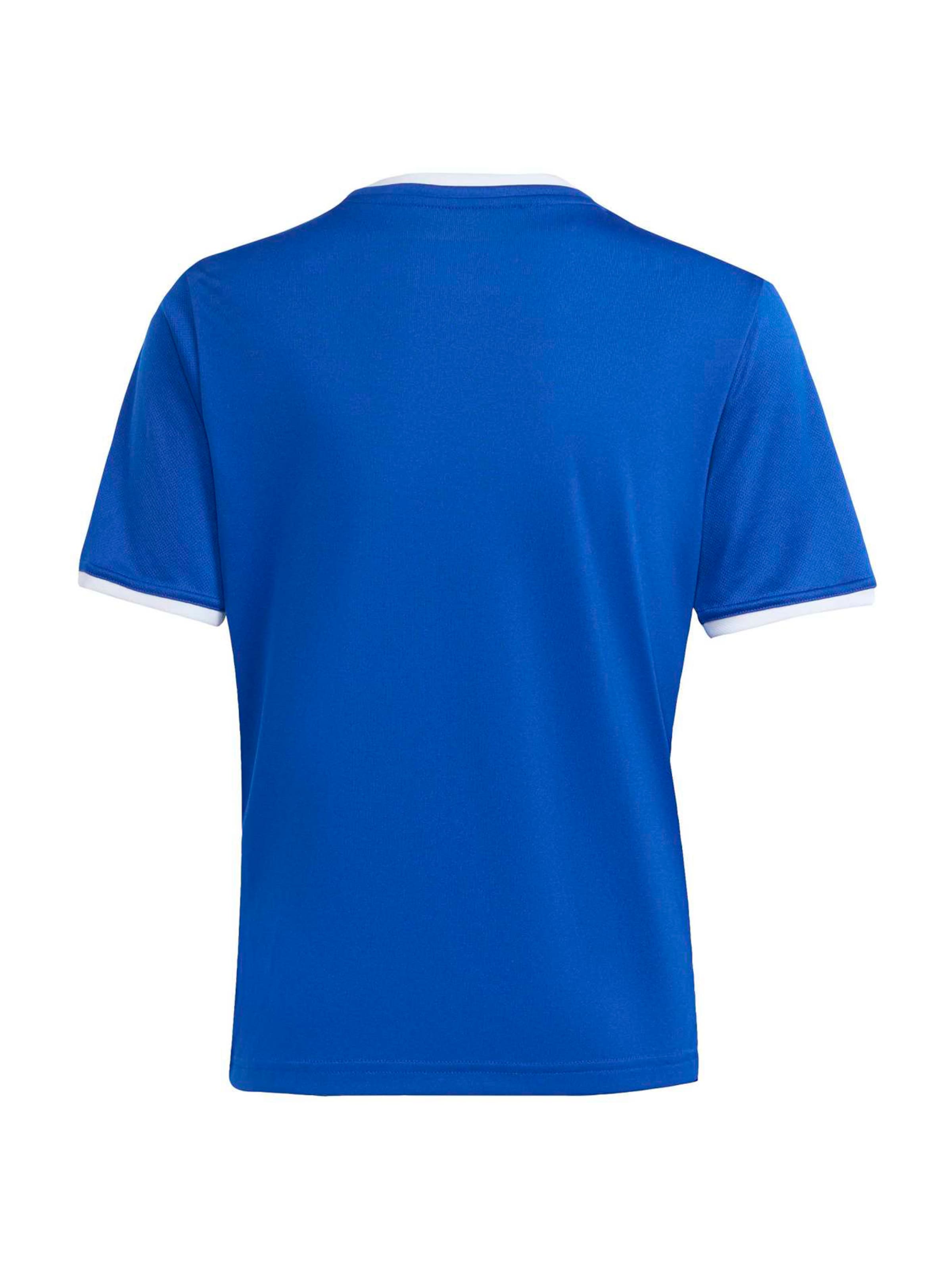 ADIDAS PERFORMANCE Performance Shirt 'ENT26' in Blue