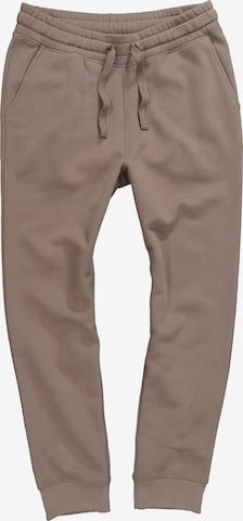 JAY-PI Pants in Brown: front