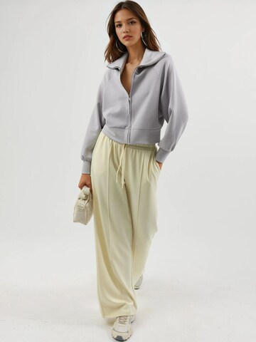 Busem Sweatjacke in Grau