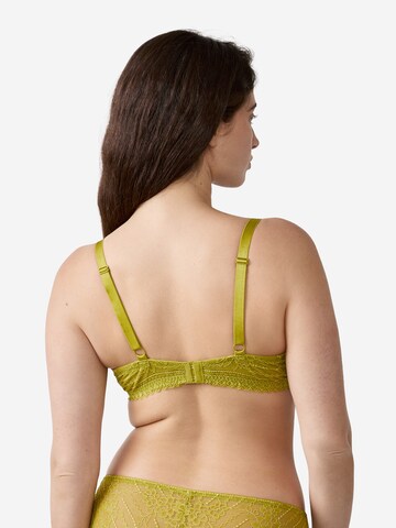 ETAM Balconette BH in Grün