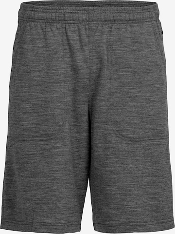 ICEBREAKER Workout Pants in Grey: front