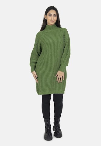 Elara Knit dress in Green: front