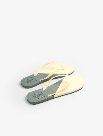 Scalpers T-bar sandals in Grey