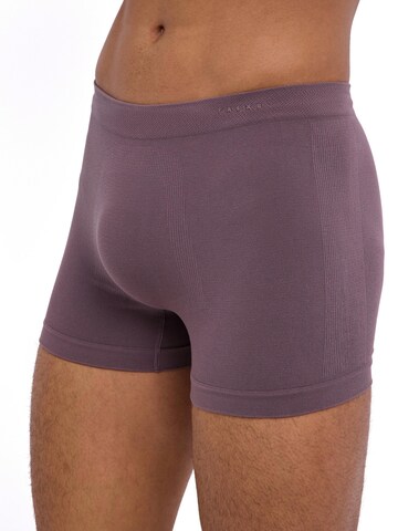 FALKE Boxer shorts 'Seamless' in Brown
